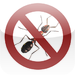 Ant Hunting