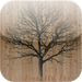Family Tree HD
